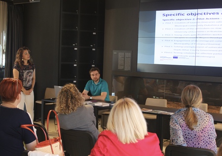 Pregled pilotnih aktivnosti